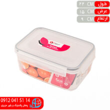 فريزري ۴قفل گلوريا ۲ليتر بانيس