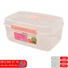 فريزري پانيذ شفاف مستطيل قفلي ادنا