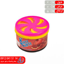بوگير کنسروي