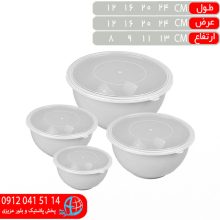 فريزري کاسه کومبو ۴عددي پلي ياس