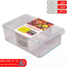 نظم دهنده ويونا دربدار۳ مدرن