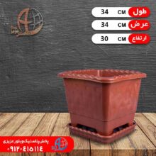 گلدان مربع درختي۵ نظيف