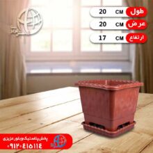 گلدان مربع درختي۲ نظيف