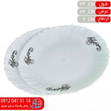 بشقاب پلوخوري موج ۲عددي مهگل