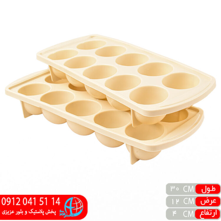 جاتخم مرغي و قالب يخ ۲عددي برليان